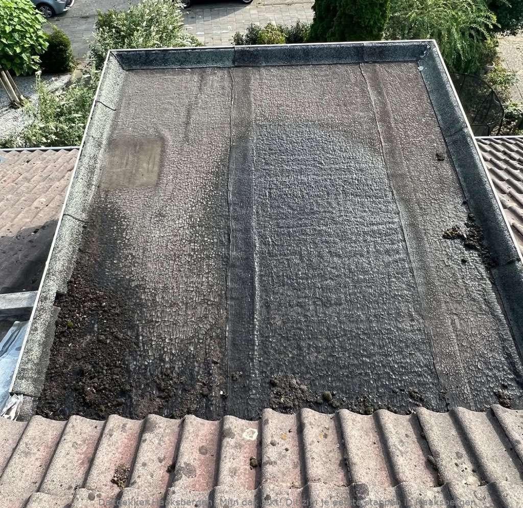 Dak Lekt Haaksbergen