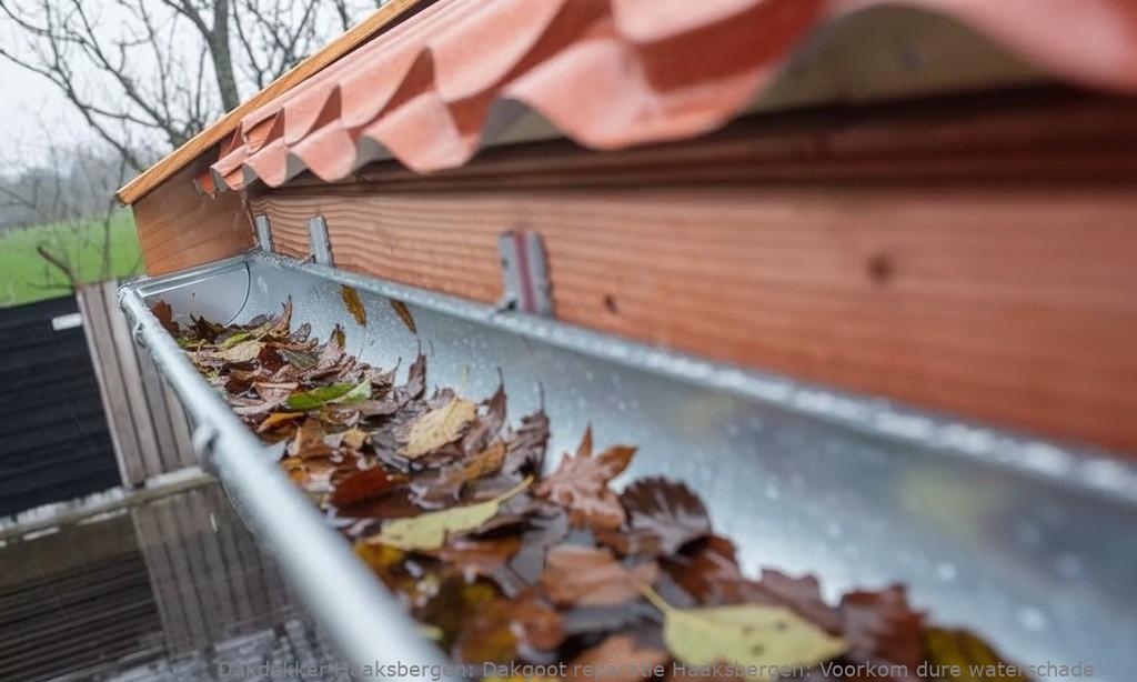 Dakgoot reparatie Haaksbergen: Voorkom dure waterschade