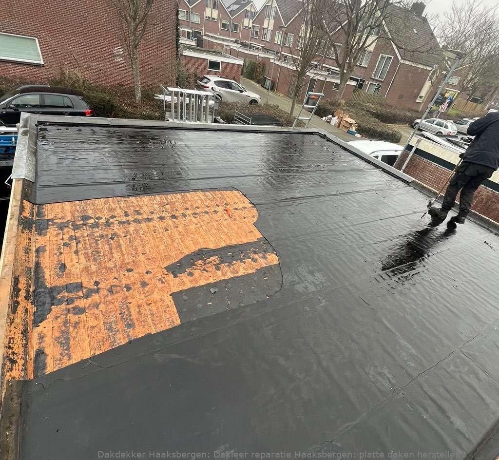 Dakleer Reparatie Haaksbergen