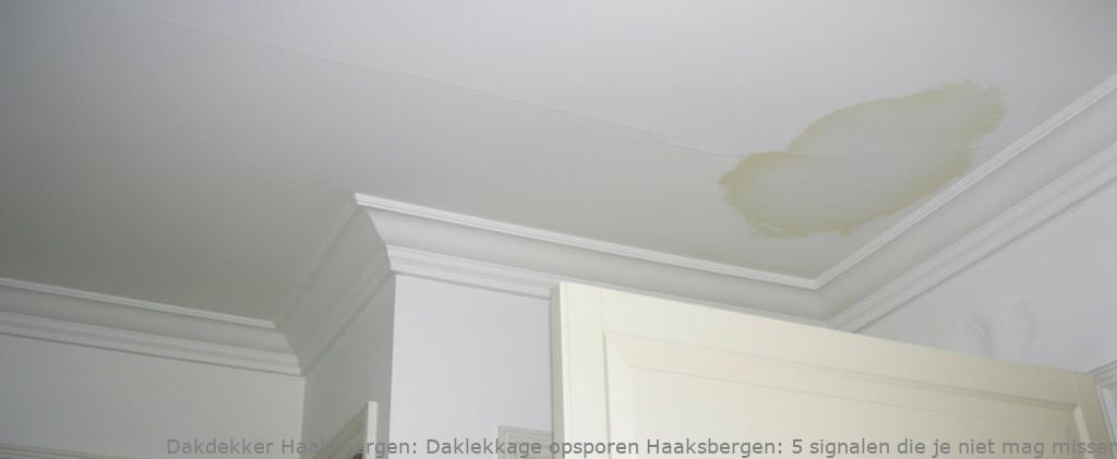 Daklekkage Opsporen Haaksbergen 1