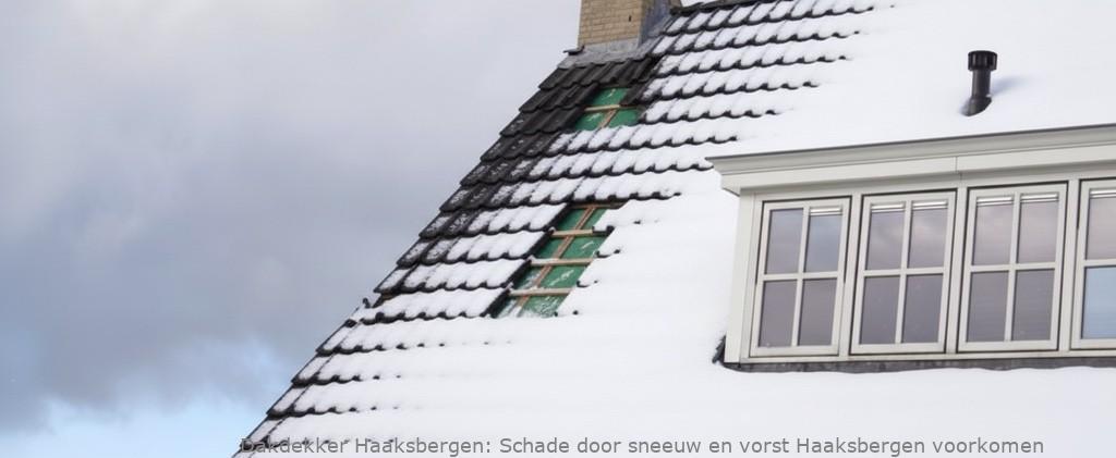 Schade Door Sneeuw En Vorst Haaksbergen