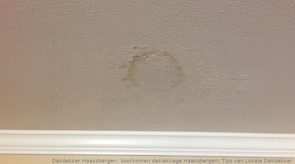 Voorkomen Daklekkage Haaksbergen